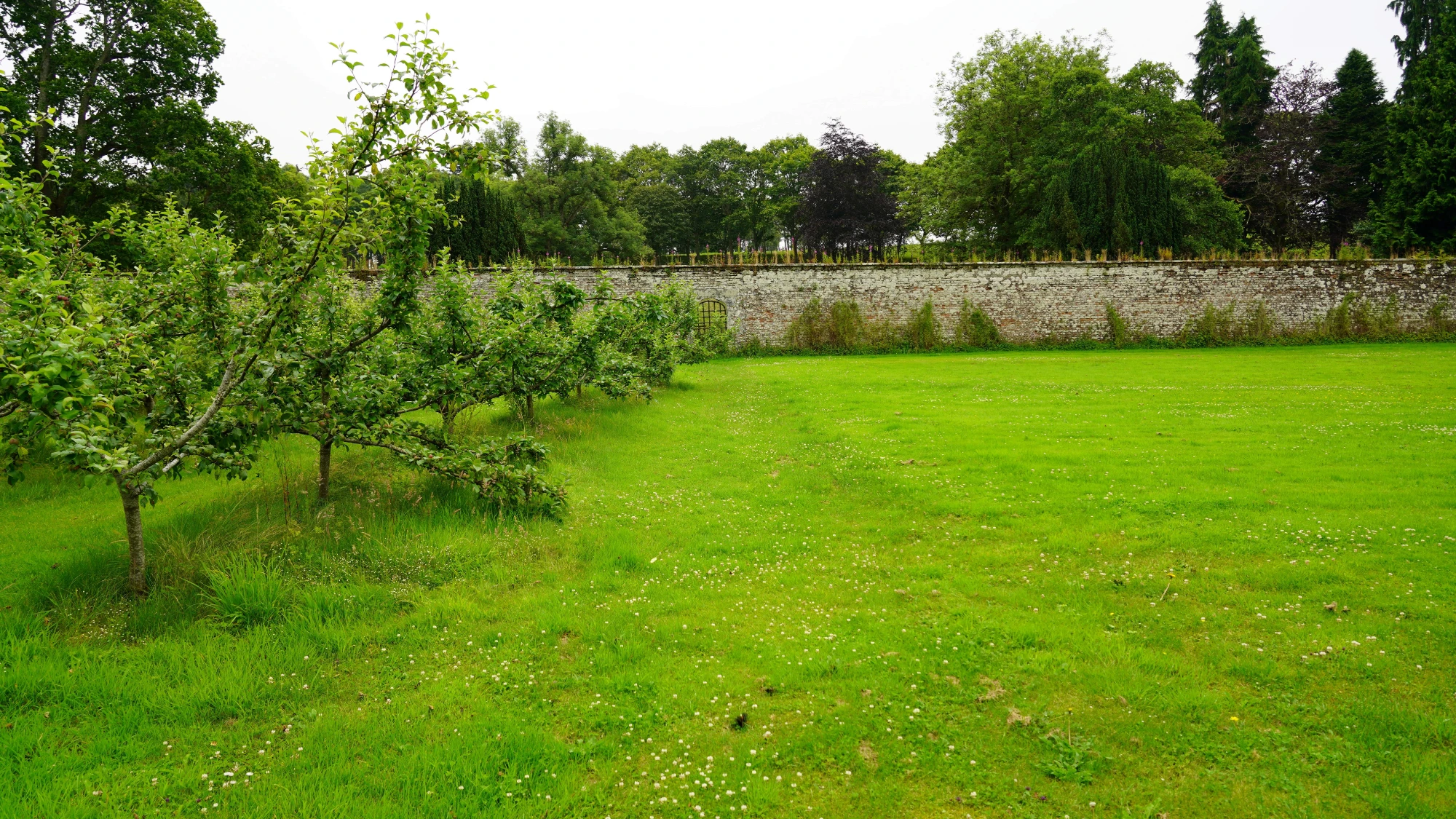Cluny_Community_Walled_Garden